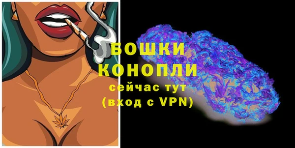 ECSTASY Гусь-Хрустальный