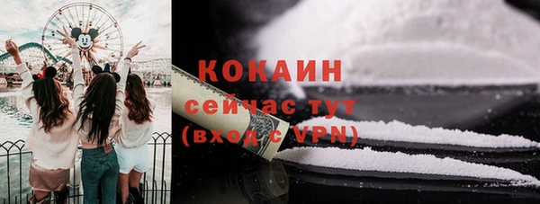 крисы Гусев