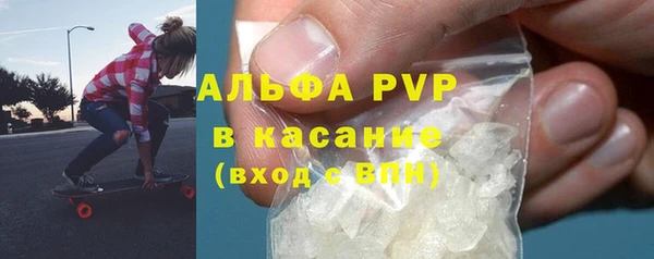 ECSTASY Гусь-Хрустальный