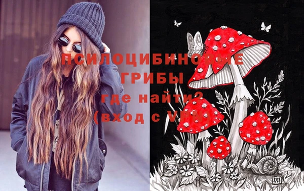 меф Гусиноозёрск