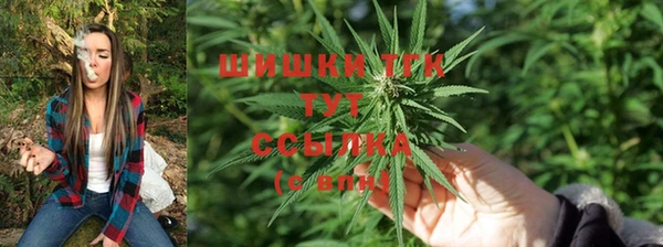 ECSTASY Гусь-Хрустальный