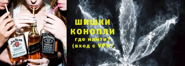 ECSTASY Гусь-Хрустальный