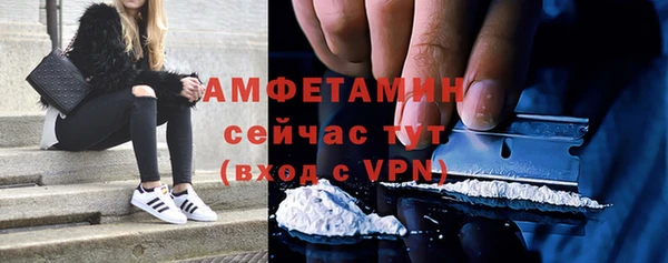 ECSTASY Гусь-Хрустальный