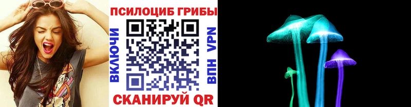 гидра ССЫЛКА  где купить наркоту  Окуловка  Псилоцибиновые грибы Psilocybe 
